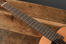 aNueNue Bird Guitar aNN-MN14E_7