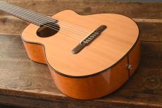 aNueNue Bird Guitar aNN-MN14E_8