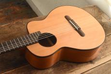 aNueNue Bird Guitar aNN-MN14E_9