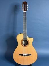 Taylor JMSM Jason Mraz Signature Model