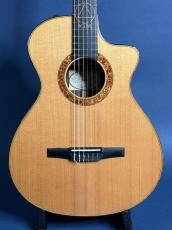 Taylor JMSM Jason Mraz Signature Model_2