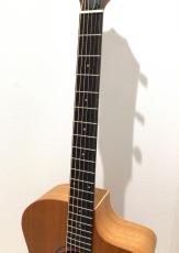 Taylor 24ce_4
