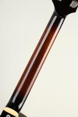 Rozeo Ladybug LA-CTM SCM-TB HB Vintage Sunburst_7