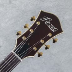 Rozeo Ladybug SM-C HB Vintage Sunburst【S/N:RZO985】_8