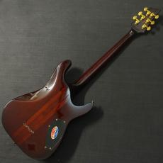 SCHECTER Diamond C1 Classic_4
