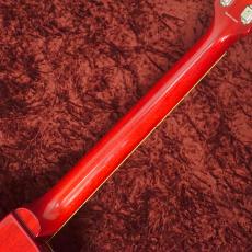 Tokai LS-101F CS_7