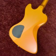 Epiphone Futura RD Custom Firestorm Shift_5