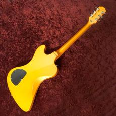 Epiphone Futura RD Custom Firestorm Shift_6