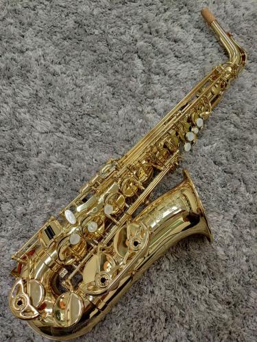 H. Selmer Axos SeleS