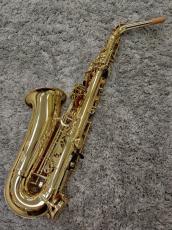 H. Selmer Axos SeleS_2