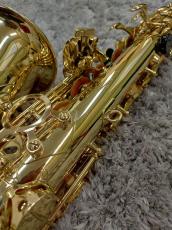 H. Selmer Axos SeleS_3