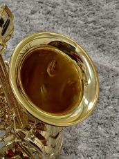 H. Selmer Axos SeleS_5