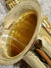 H. Selmer Axos SeleS_7