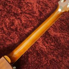 Epiphone Les Paul Standard Plus Top Pro Honey Burst_7