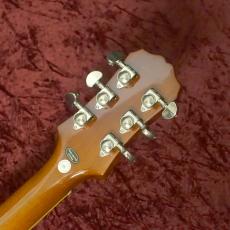 Epiphone Les Paul Standard Plus Top Pro Honey Burst_8