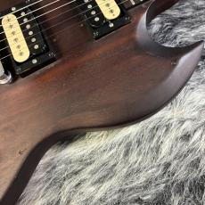 Gibson SGJ 14_5