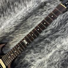 Gibson SGJ 14_6