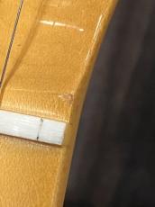 Fender American Professional Telecaster Butterscotch Blonde【チョイキズ特価】_10