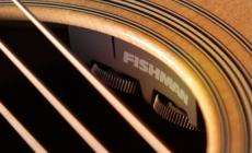 FISHMAN 【定番品】Matrix Infinity Mic Blend Narrow (SKU PRO-MAN-MBV)【PU本体購入で取付工賃無料】_5