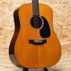Martin D-18 1969