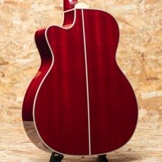 Takamine FPT752C CYS_2