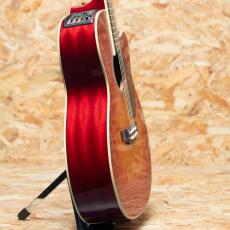 Takamine FPT752C CYS_4