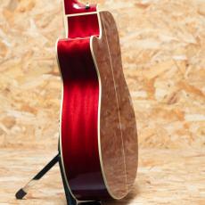 Takamine FPT752C CYS_5