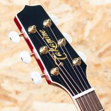 Takamine FPT752C CYS_8