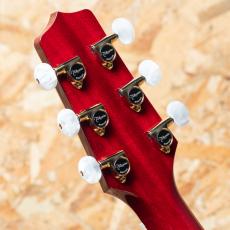 Takamine FPT752C CYS_9