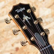 Taylor 50th Anniversary 924ce-K LTD CIRCA 74 Amp Set_9
