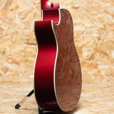 Taylor C24ce B5038_5