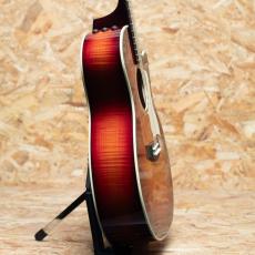 Taylor C14ce B5018_4