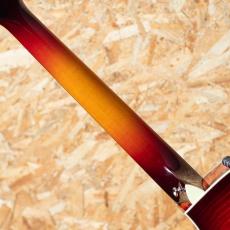 Taylor C14ce B5018_7