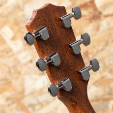 Taylor Legacy 815e_9