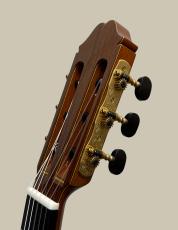 Sakurai【桜井正毅】 Concert-J_4