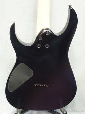 Ibanez RG421DX -Twilight Shade- 【軽量3.09kg】【SPOT MODEL!】_6