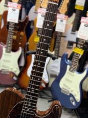 Tokai ATE-CTM RR/P-90 NR【中古品】_3