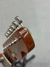 Tokai ATE-CTM RR/P-90 NR【中古品】_8