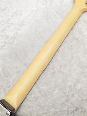FUJIGEN NTE100RAL BK【F250112】【3.70kg】_8