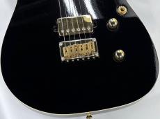 Addictone Custom Guitars Custom Arena Echo -Black- 2020s USED!!【3.44Kg】【ハイエンドフロア】_3