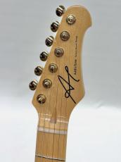 Addictone Custom Guitars Custom Arena Echo -Black- 2020s USED!!【3.44Kg】【ハイエンドフロア】_7