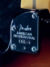 Fender 【New Model】American Professional Telecaster Rosewood - 3-Color Sunburst -【US26043503】【3.40kg】_7