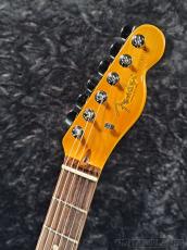 Fender 【New Model】American Professional Telecaster Rosewood - Black -【US26049943】【3.53kg】_10