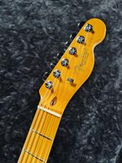 Fender 【New Model】American Professional Telecaster Maple - Oxblood -【US26039782】【3.47kg】_10