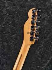 Fender 【New Model】American Professional Telecaster Rosewood - Oxblood -【US26043576】【3.61kg】_11