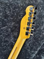 Fender 【New Model】American Professional Telecaster Rosewood - Dark Night -【US26039556】【3.44kg】_11