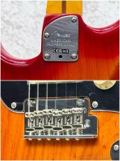 Fender 【New Model!】American Professional Stratocaster HSS -Aged Cherry Burst-【US26048547】【3.85kg】_11