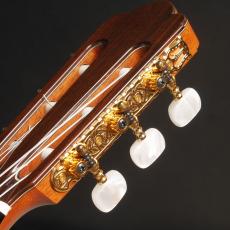 ASTURIAS PRELUDE/S 650mm　ハードケース付属_8