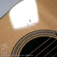Switch SCD-2H A-Baaa (Adirondack Spruce & Brazilian Rosewood)_12