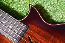 Enya E6 FE Solid Koa Tenor_9